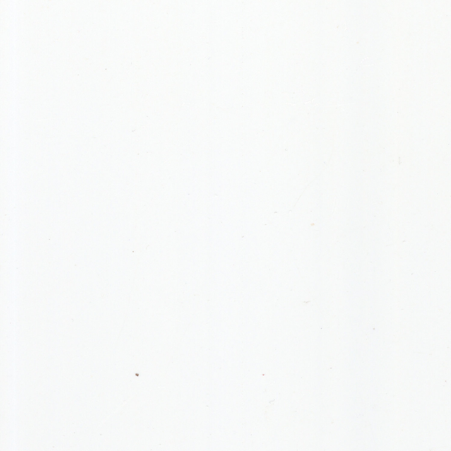 Matt White 5mm Bathroom Panels (250mm x 2.6m | Zest Wall Panels)