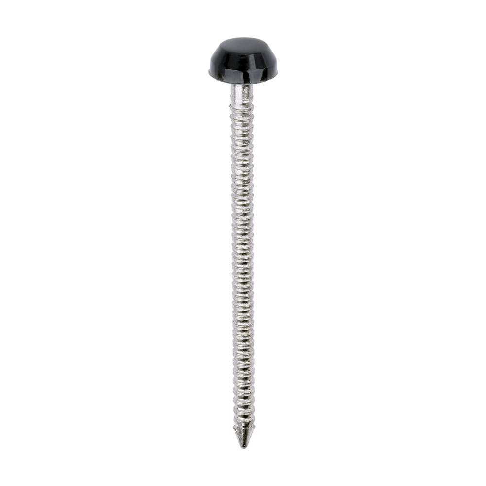 Anthracite Grey 40mm Polymer Headed Pins (250 | TIMCO)